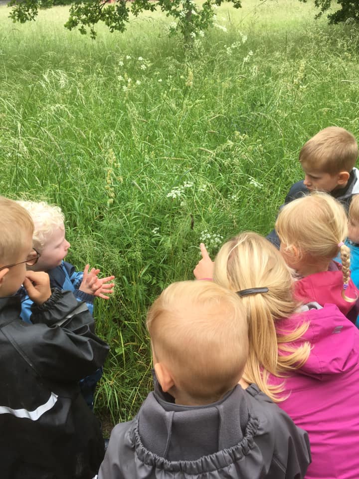 Børn kigger på græs